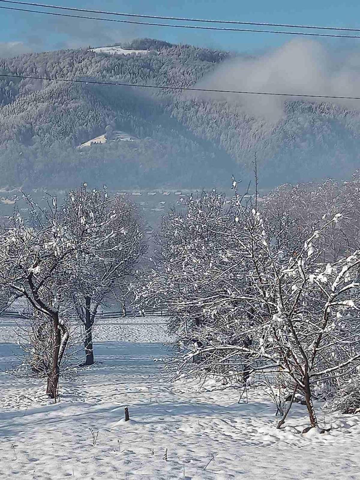Вілла Зозуля Mykulychyn Esterno foto